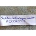 Saída Coletor Escapamento Honda Accord 1994 1995 1996 1997